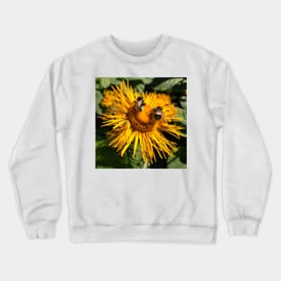 Two bees, or not two bees, that is the question - Square crop Crewneck Sweatshirt